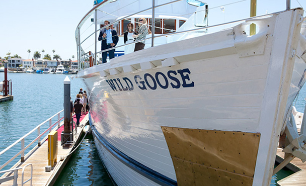 Wild Goose